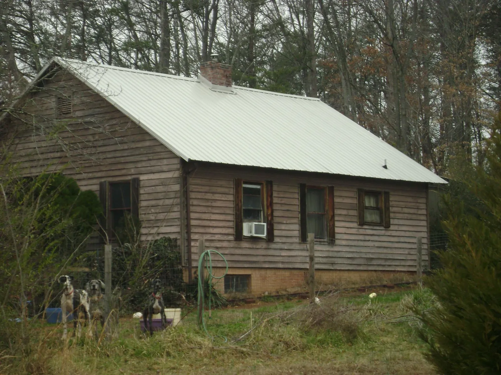 White metal roof on an old wood sided farmhouse, from a Metal Roof Installation job in Fredonia